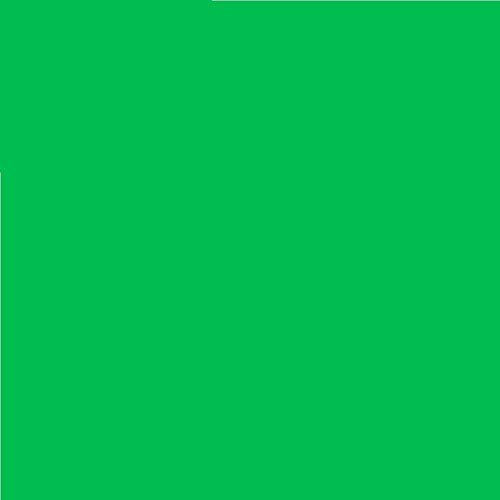 LEE Nr. 124 Dark Green/Dunkel Grün - 24 x 24 cm transparente, hitzebeständige, farbige Farbfolie für Foto Studio PAR 64 Scheinwerfer - Gel Farbfilter Filter Folie (1 Stück, Lee 124 Dark Green) von Varytec