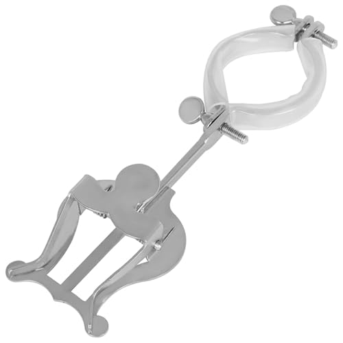 Tragbarer Notenständer für Klarinette Lyre Noten-Klammer Edelstahl Klarinette Notenhalter für Bands und Anfänger Übung von Vdaxvme