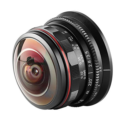 Venidice MK-3,5 mm F2.8 Ultra Weitwinkel Fisheye Objektiv für Olympus Panasonic Lumix MFT Micro Four Thirds 4/3 Mount spiegellose Kamera, schwarz, Venidice Reinigungstuch von Venidice