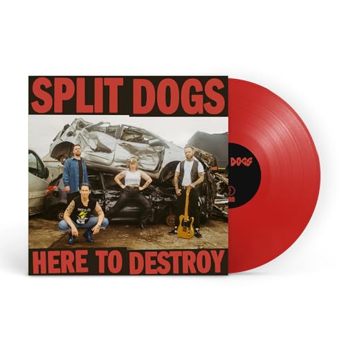 Here To Destroy [Vinyl LP] von Venn Records