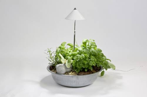 Venso LED-Pflanzenlampe SUNLiTE 230V LED fest eingebaut 7W Neutralweiß 1St. Venso LED-Pflanzenlampe SUNLiTE 230V LED fest eingebaut 7W Neutralweiß 1St. von Venso
