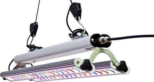 Venso LED-Pflanzenlampe Wachstum 65cm 230V LED fest eingebaut 60W RGBW 1St. Venso LED-Pflanzenlampe Wachstum 65cm 230V LED fest eingebaut 60W RGBW 1St. von Venso