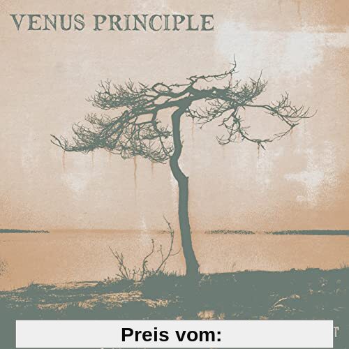 Stand in Your Light (Digisleeve) von Venus Principle