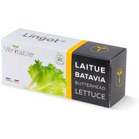 Lingot Kopfsalat - Organic von Veritable