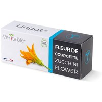 Lingot Zucchiniblüten - Organic von Veritable