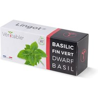 Lingot Zwergbasilikum - Organic von Veritable