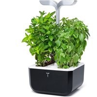 Véritable Exky SMART Indoor-Garten, Sanftes Schwarz von Veritable