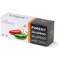 Véritable Lingot Jalapeño-Chili - Vorbepflanzte Erde von Veritable