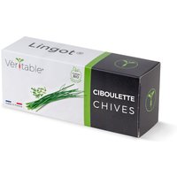 Véritable Lingot Schnittlauch - Bio, Vorgefüllte Erde mit Samen von Veritable
