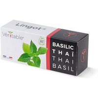 Véritable Lingot Thai-Basilikum - Bio, vorbepflanzte Erde von Veritable