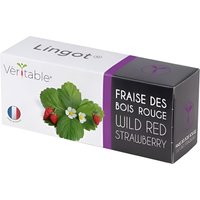 Véritable Lingot Wilde Rote Erdbeere - Vorbepflanzte Erde von Veritable