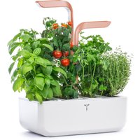 Véritable SMART Selbstversorgender Indoor-Garten, Weißkupfer von Veritable