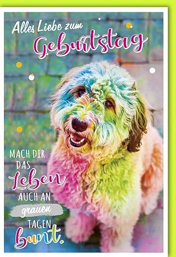 Verlag Dominique Geburtstagskarte lustig Mach dir das Leben bunt - mit Umschlag von Verlag Dominique