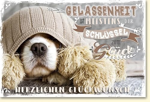 Verlag Dominique Glückwunschkarten Hundeschnauze im Strick - mit Umschlag von Verlag Dominique