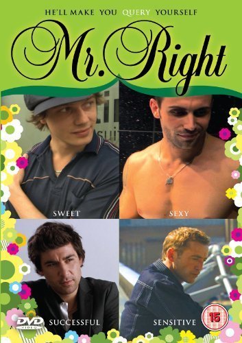 Mr Right [DVD] von Verve Pictures