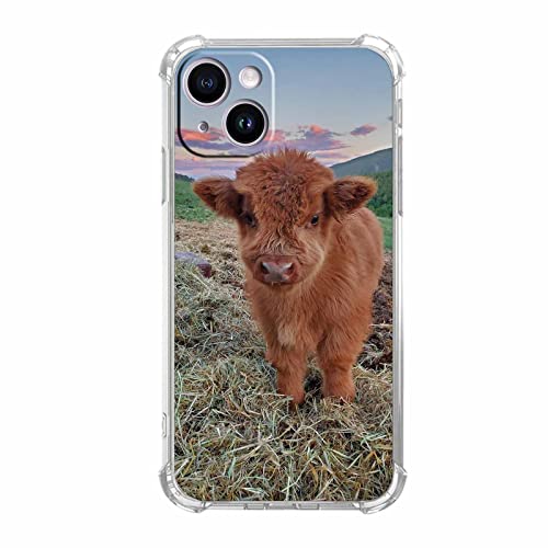 Vesidurt Highland Pampa Kuh Schutzhülle für iPhone 14, süßes Baby Kuh Muster Hülle für Damen und Herren, trendige weiche TPU-Schutzhülle für iPhone 14 Vesidurt Highland Pampa Kuh Schutzhülle für iPhone 14, süßes Baby Kuh Muster Hülle für Damen und Herren, trendige weiche TPU-Schutzhülle für iPhone 14 von Vesidurt