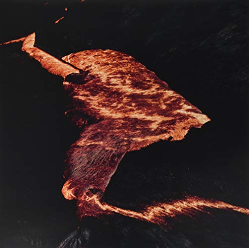 These Serpents [Vinyl LP] von Veyl