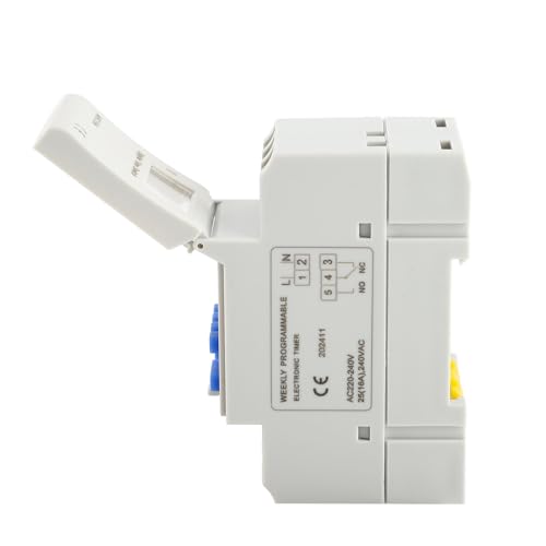 Timer Switch LCD Display Echtzeit Bis Stunde Wöchentlich Programmierbar mit 16 Ein- und Auseinstellungen Elektronische Relaiszeit 3000W Schiene Montiert Timer (220 V Englisch) von ViaGasaFamido