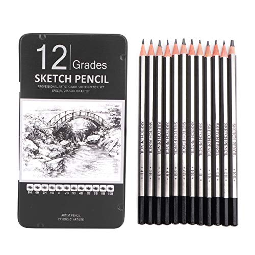 ViaGasaFamido Sketch Pencils, 12Pcs Drawing Sketching Pencils Set mit Box 6H 4H 2H HB B 2B 3B 4B 5B 6B 8B 10B für Anfänger und ProfikünstlerZeichensets von ViaGasaFamido