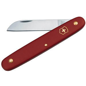 VICTORINOX Blumenmesser rot von Victorinox