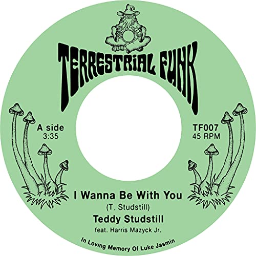 I Wanna Be With You / There Comes A Time [Vinyl LP] von Victrola