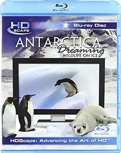 Antarctica Dreaming - Wildlife On Ice [Blu-ray] [2005] [UK Import] von Video Delta
