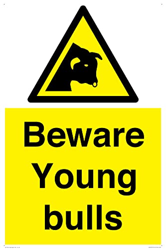 Beware Young Bulls Schild – 400 x 600 mm – A2P von Viking Signs