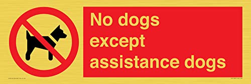 Schild mit Aufschrift "No dogs except aid dogs", 600 x 200 mm, L62 von Viking Signs