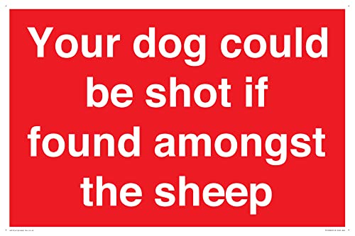 Schild mit Aufschrift "Your dog could be shot if found among the sheep", 600 x 400 mm, A2L von Viking Signs