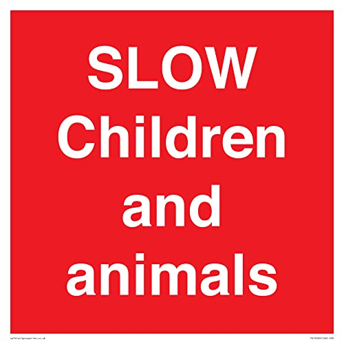 Schriftzug "Slow Children and animes", 300 x 300 mm, S30 von Viking Signs