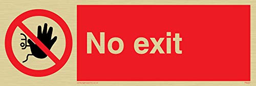 Viking Schilder pa27-l15-gv "No Exit"-Zeichen, gold Vinyl, 50 mm H x 150 mm W von Viking Signs