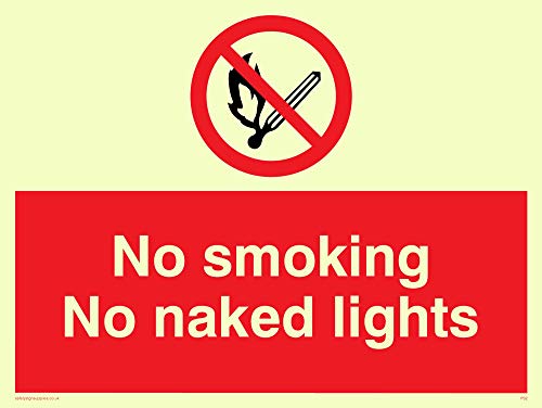 Viking Schilder ps2-a5l-pv "No Smoking No Naked Lights" Zeichen, Aufkleber, nachleuchtend, 150 mm H x 200 mm W von Viking Signs
