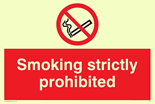 Viking Schilder ps5-a6l-p "Rauchen streng verboten" Zeichen, Kunststoff, halbstarr nachleuchtend, 100 mm H x 150 mm W von Viking Signs
