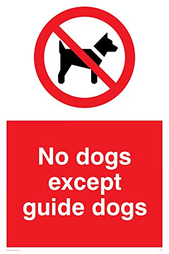 Viking Schilder pv47-a2p-v "Keine Hunde außer Guide Dogs" Zeichen, Vinyl, 600 mm H x 400 mm W von Viking Signs