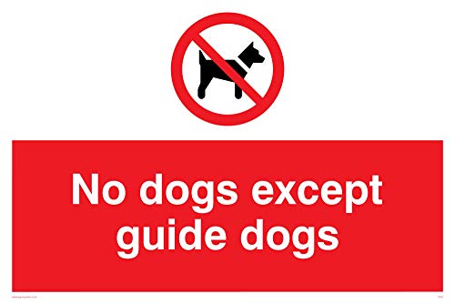 Viking Schilder pv47-a4l-1 m "Keine Hunde außer Guide Dogs" Zeichen, Kunststoff, 1 mm halbstarr, 200 mm H x 300 mm W Viking Schilder pv47-a4l-1 m "Keine Hunde außer Guide Dogs" Zeichen, Kunststoff, 1 mm halbstarr, 200 mm H x 300 mm W von Viking Signs