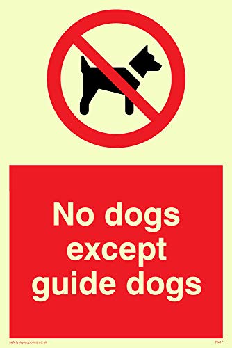 Viking Schilder pv47-a6p-pv "Keine Hunde außer Guide Dogs" Zeichen, Aufkleber, nachleuchtend, 150 mm H x 100 mm W von Viking Signs