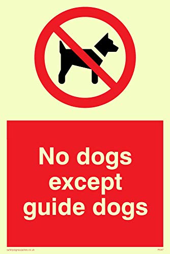 Viking Schilder pv47-a6p-pv "Keine Hunde außer Guide Dogs" Zeichen, Aufkleber, nachleuchtend, 150 mm H x 100 mm W von Viking Signs