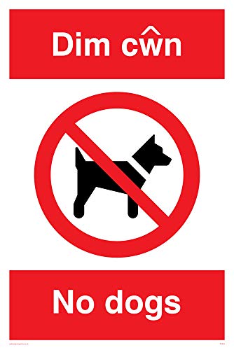 Viking Schilder pv916-a4p-v "DIM Cwn keine Hunde" Zeichen, Vinyl, 300 mm H x 200 mm W von Viking Signs