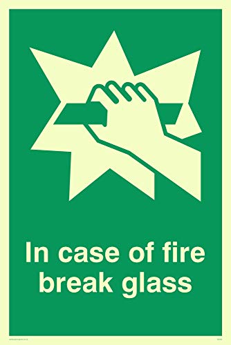 Viking Schilder sa404-a4p-p "in Case of Fire Break Glass" Zeichen, halbstarr nachleuchtend Kunststoff, 300 mm H x 200 mm W von Viking Signs