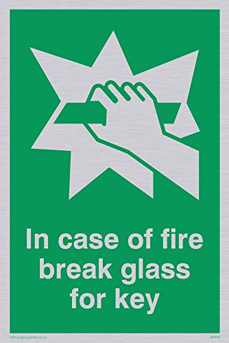 Viking Schilder sa406-a6p-sv "in Case of Fire Break Glass für Schlüssel" Sign, silber Vinyl, 150 mm H x 100 mm W von Viking Signs