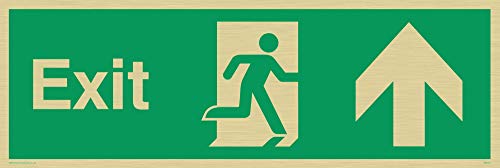 Viking Schilder sb437-l31-gv Schild "EXIT, bis Arrow, Gold Vinyl, 100 mm H x 300 mm W von Viking Signs