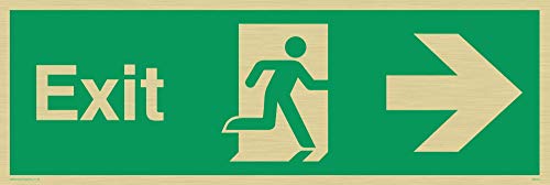 Viking Schilder sb443-l31-gv Schild "EXIT, rechts Arrow, Gold Vinyl, 100 mm H x 300 mm W von Viking Signs