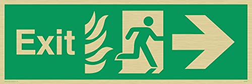 Viking Schilder sg690-l31-g Fire Schild "EXIT, rechts Arrow, starr gold Kunststoff, 100 mm H x 300 mm W Viking Schilder sg690-l31-g Fire Schild "EXIT, rechts Arrow, starr gold Kunststoff, 100 mm H x 300 mm W von Viking Signs