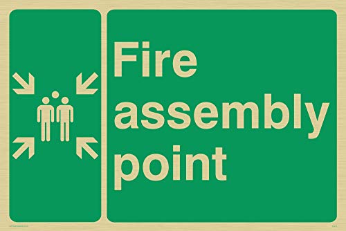 Viking Schilder sy473-a4l-gv "FIRE Assembly Point"-Zeichen, gold Vinyl, 200 mm H x 300 mm W von Viking Signs