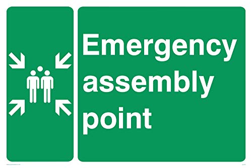 Viking Schilder sy474-a2l-3 m "Emergency Assembly Point Schild, 3 mm starrer Kunststoff, 400 mm H x 600 mm W von Viking Signs