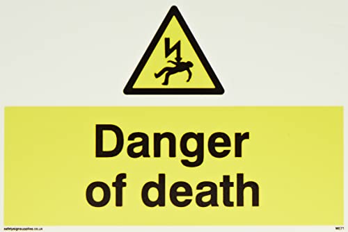 Viking Signs Schild „Todesgefahr“ (Danger Of Death), halbstarrer nachleuchtender Kunststoff, 100 mm H x 150 mm B, WE71-A6L-P von Viking Signs