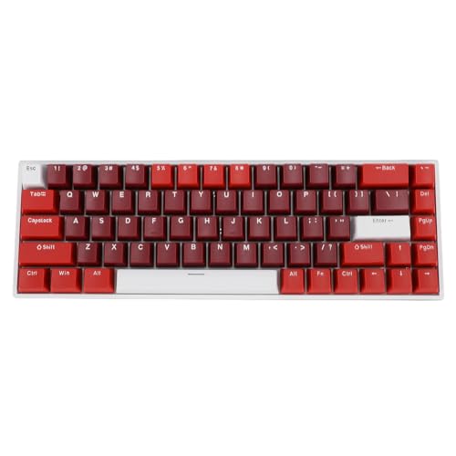 Vikye Mechanische Gaming-Tastatur, Hot Swap Able 60% Layout 68 Tasten Typ C Verdrahtete Tastatur mit RGB-Hintergrund Beleuchtung für Laptop-PC, Blauer Schalter von Vikye
