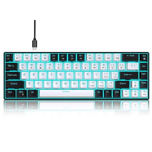 Vikye Mechanische Gaming-Tastatur, RGB-Licht, 68 Tasten, Eisblau, Hintergrundbeleuchtung, Zweifarbige USB-Kabeltastatur für Windows, für OS X, für Linux (Schwarz-Weiss) von Vikye