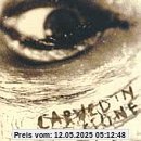 Carved in a Stone von Vince Neil