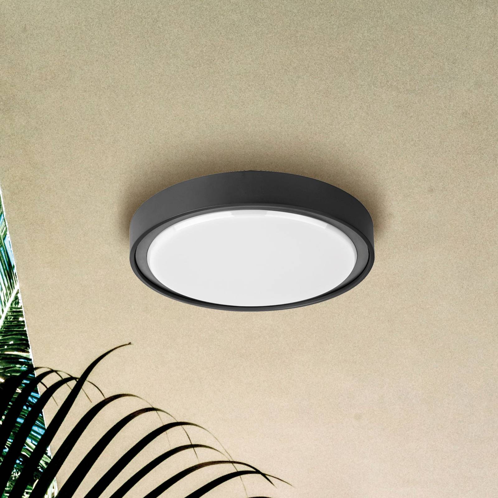 LED-Außen-Deckenleuchte Anabella, dunkelgrau LED-Außen-Deckenleuchte Anabella, dunkelgrau von Viokef